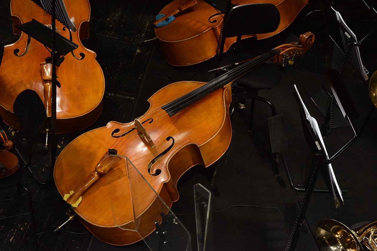 opera, music, violin, orchestra, symphony, musician, instrument, double bass, brown music, symphony, double bass, double bass, double bass, double bass, double bass
